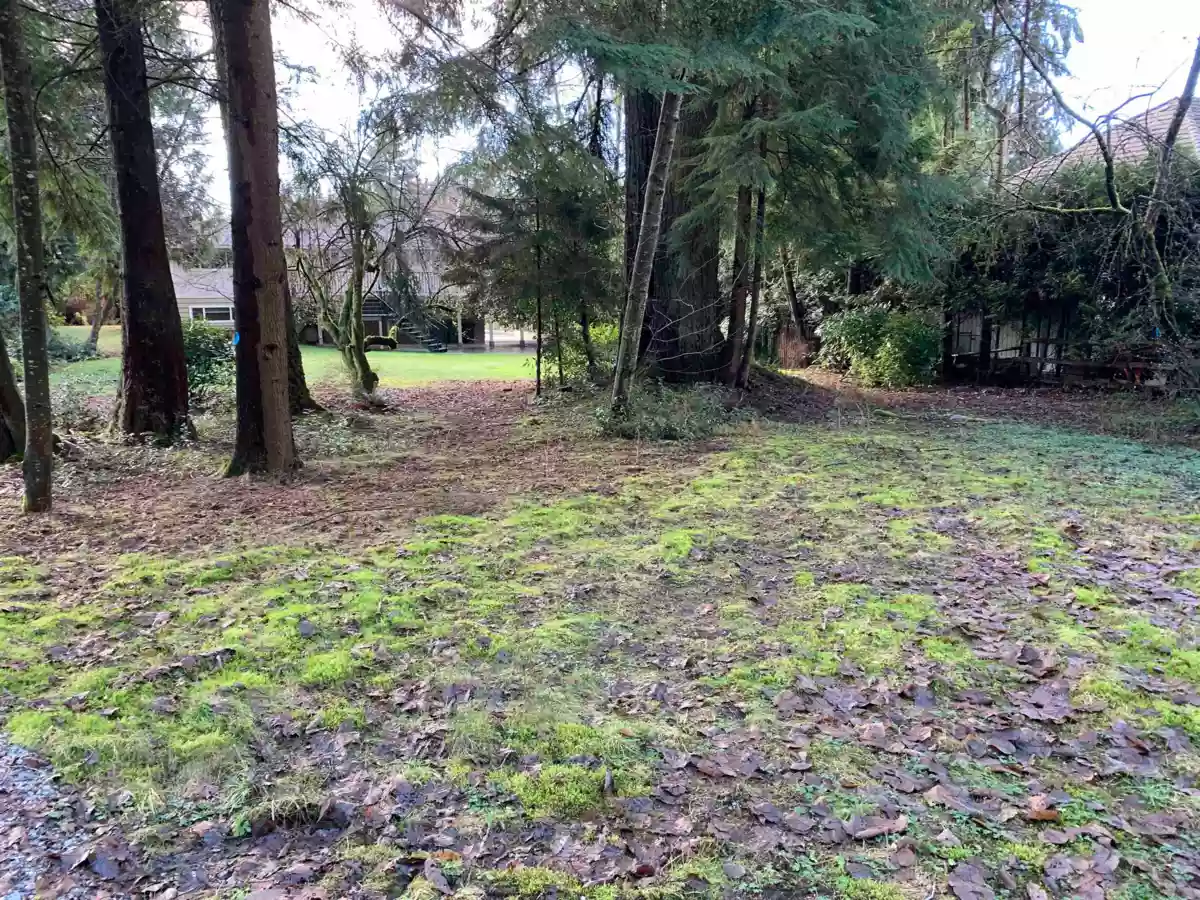 Primary Bathroom Photo of 2490 Leggett Drive, Anmore, BC