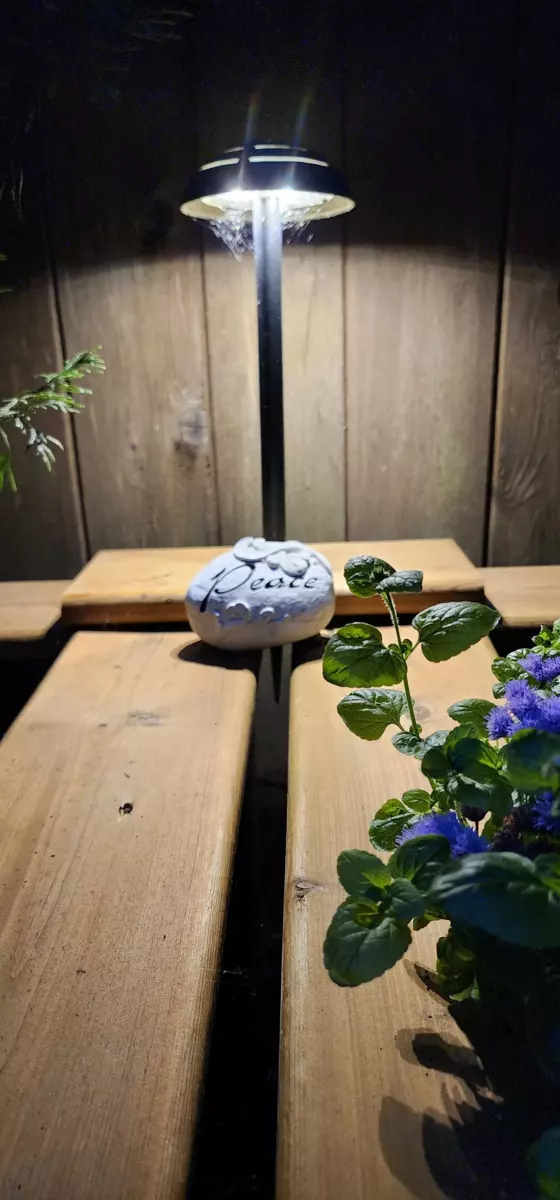 Outdoor Deck Photo of 162 James Road, Port Moody, BC