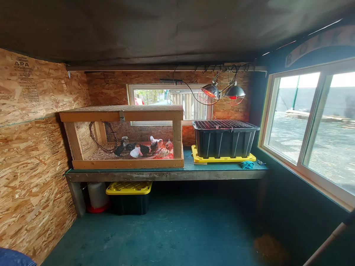 Backyard Photo of 58465 Laidlaw Road, Laidlaw, BC