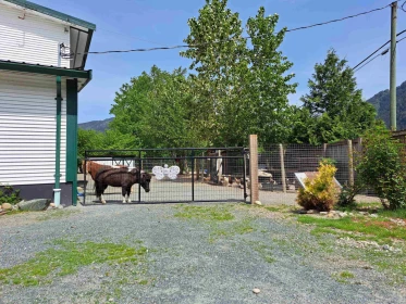 Garden / Landscaping Photo of 58465 Laidlaw Road, Laidlaw, BC