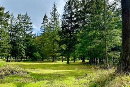 Community Amenities Photo (Clubhouse) of 315 Hairy Elbow Road, Sechelt, BC