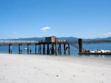 Swimming Pool Photo of 315 Hairy Elbow Road, Sechelt, BC