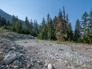 Family Room Photo of 9329 Warbler Way, Whistler, BC