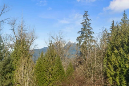 Aerial View of 25443 Bosonworth Avenue, Maple Ridge, BC