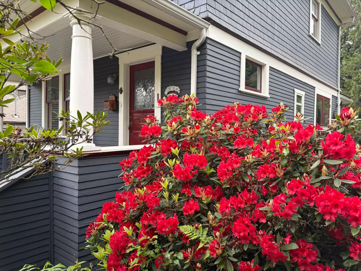 Exterior Rear Photo of 3039 St. Georges Avenue, North Vancouver, BC