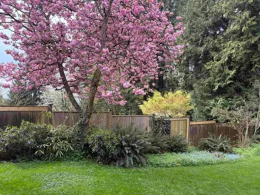 Swimming Pool Photo of 3039 St. Georges Avenue, North Vancouver, BC