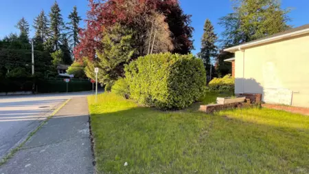 Backyard Photo of 2000 Austin Avenue, Coquitlam, BC