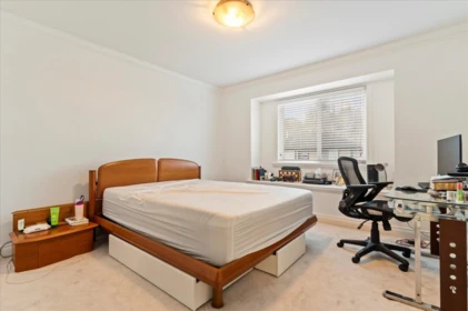 Basement Recreation Room Photo of 24680 103a Avenue, Maple Ridge, BC