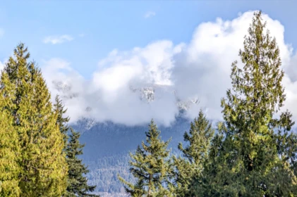 Backyard Photo of 1255 Deer Walk, Bowen Island, BC