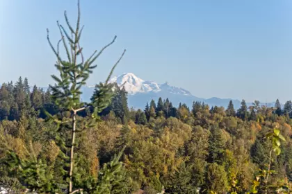 Garden / Landscaping Photo of 160 3105 Dayanee Springs Boulevard, Coquitlam, BC