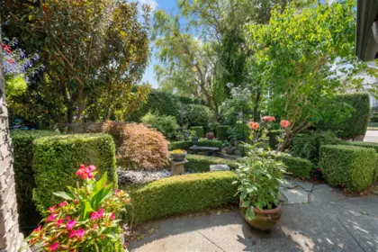 Backyard Photo of 15239 29a Avenue, Surrey, BC