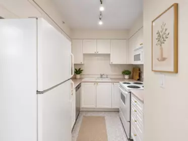 Kitchen Island Photo of 214 488 Helmcken Street, Vancouver, BC