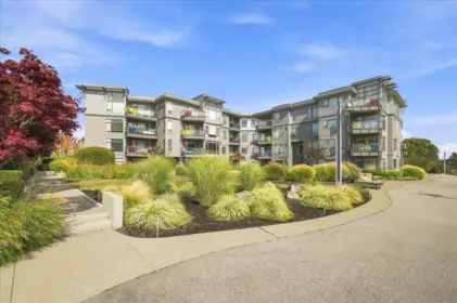 Backyard Photo of 202 14200 Riverport Way, Richmond, BC