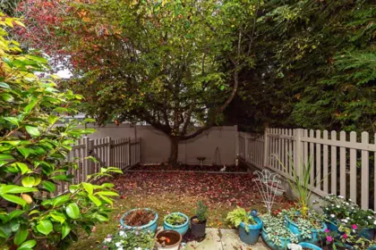Backyard Photo of 14 8775 161 Street, Surrey, BC