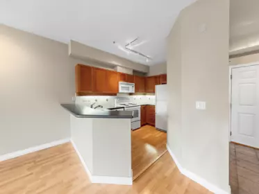 Walk-In Closet Photo of 204 131 W 3rd Street, North Vancouver, BC