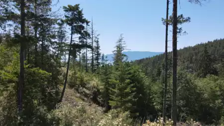 Lot 5 13803 Lee Road, Pender Harbour, BC, Pender harbour — Land for sale