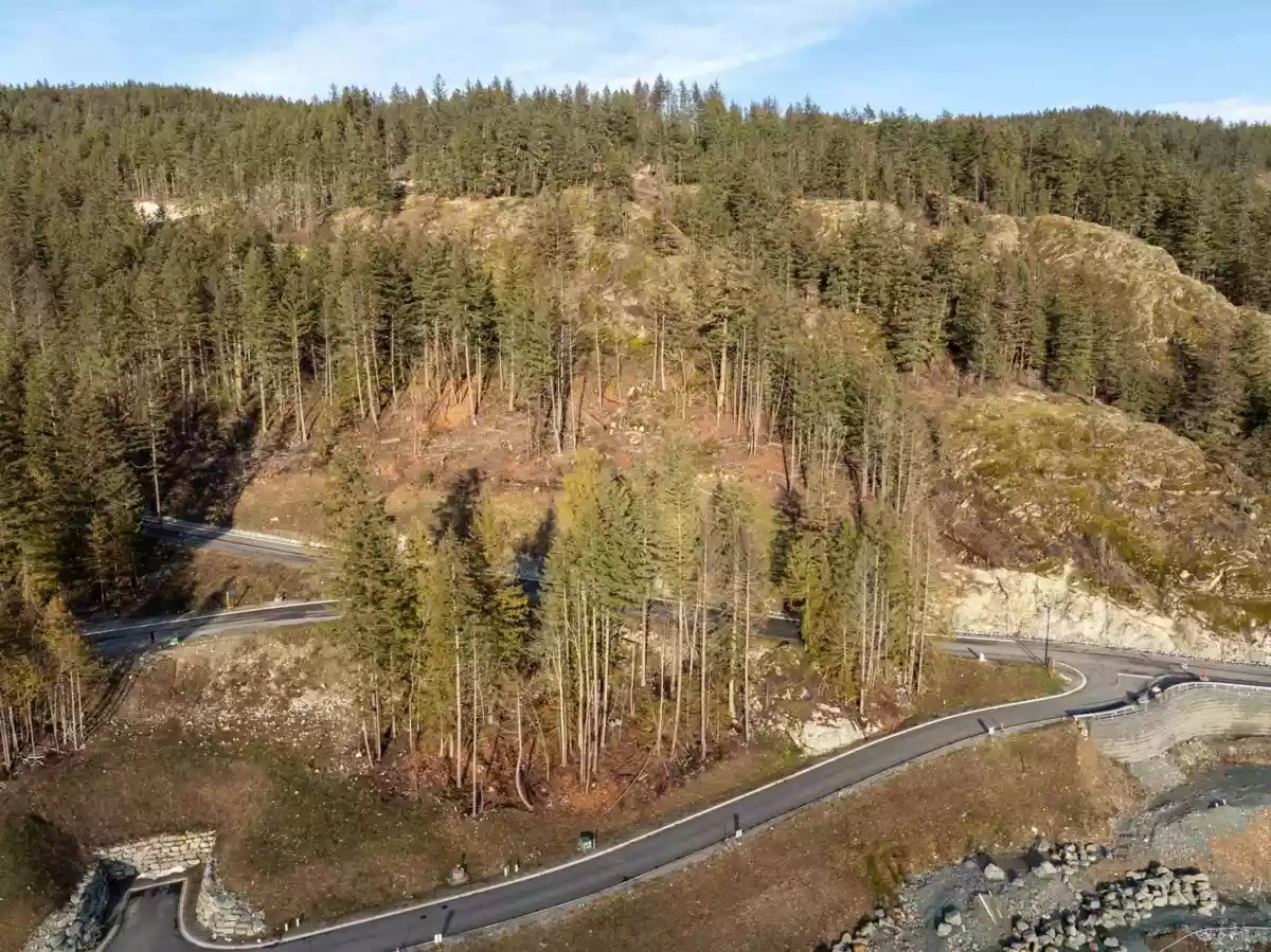Exterior Rear Photo of 8200 Merlot Peak Drive, Pemberton, BC