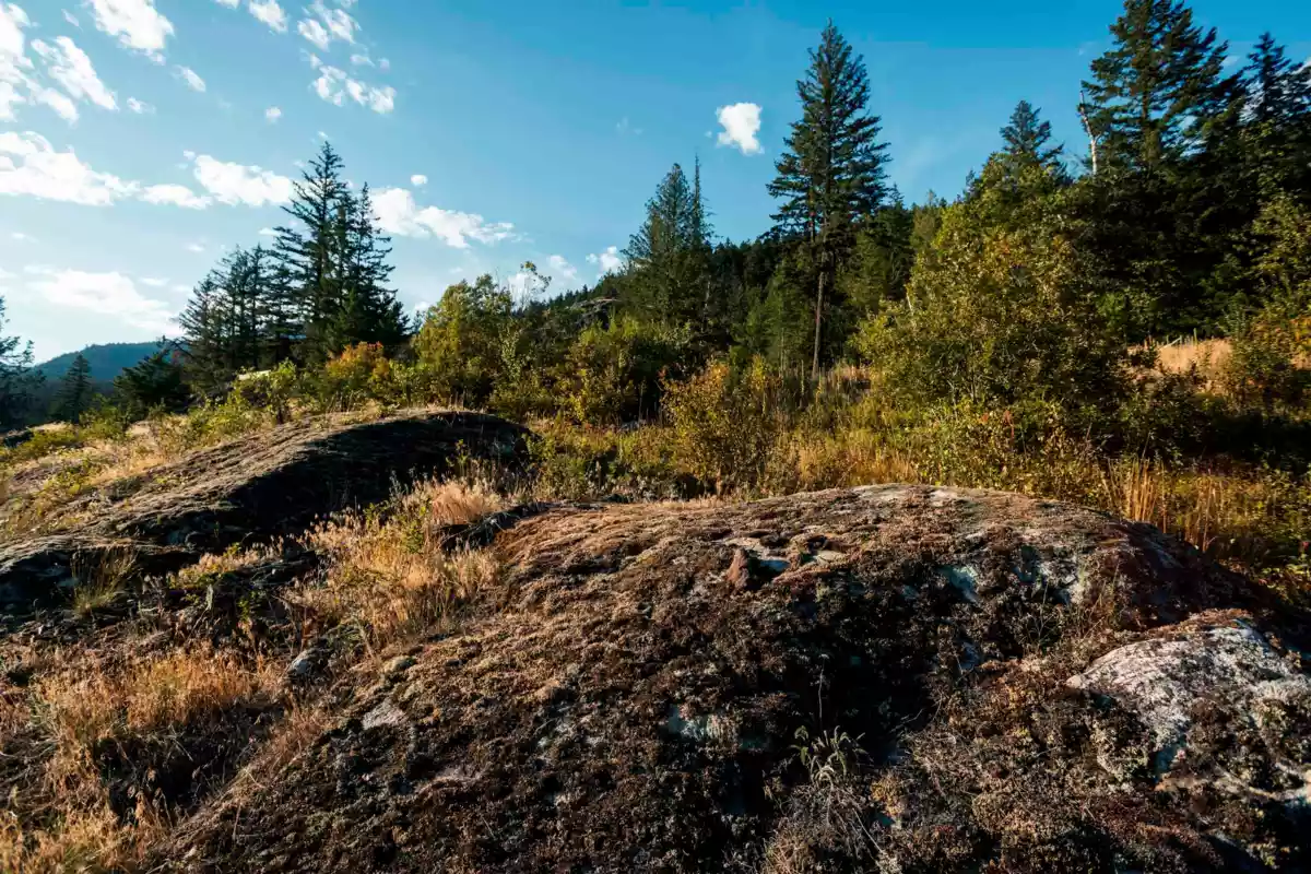 Family Room Photo of 9004 Sun God Mountain Way, Pemberton, BC