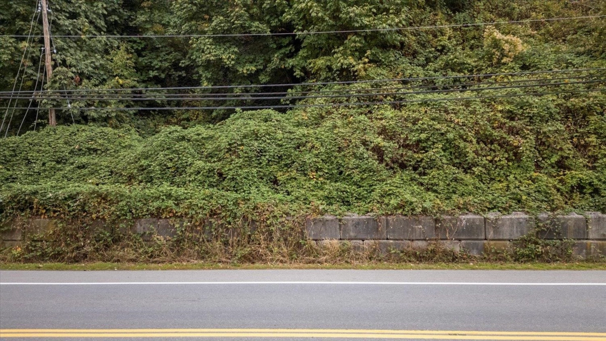 Bedroom 2 Photo of 47165 Yale Road, Chilliwack, BC