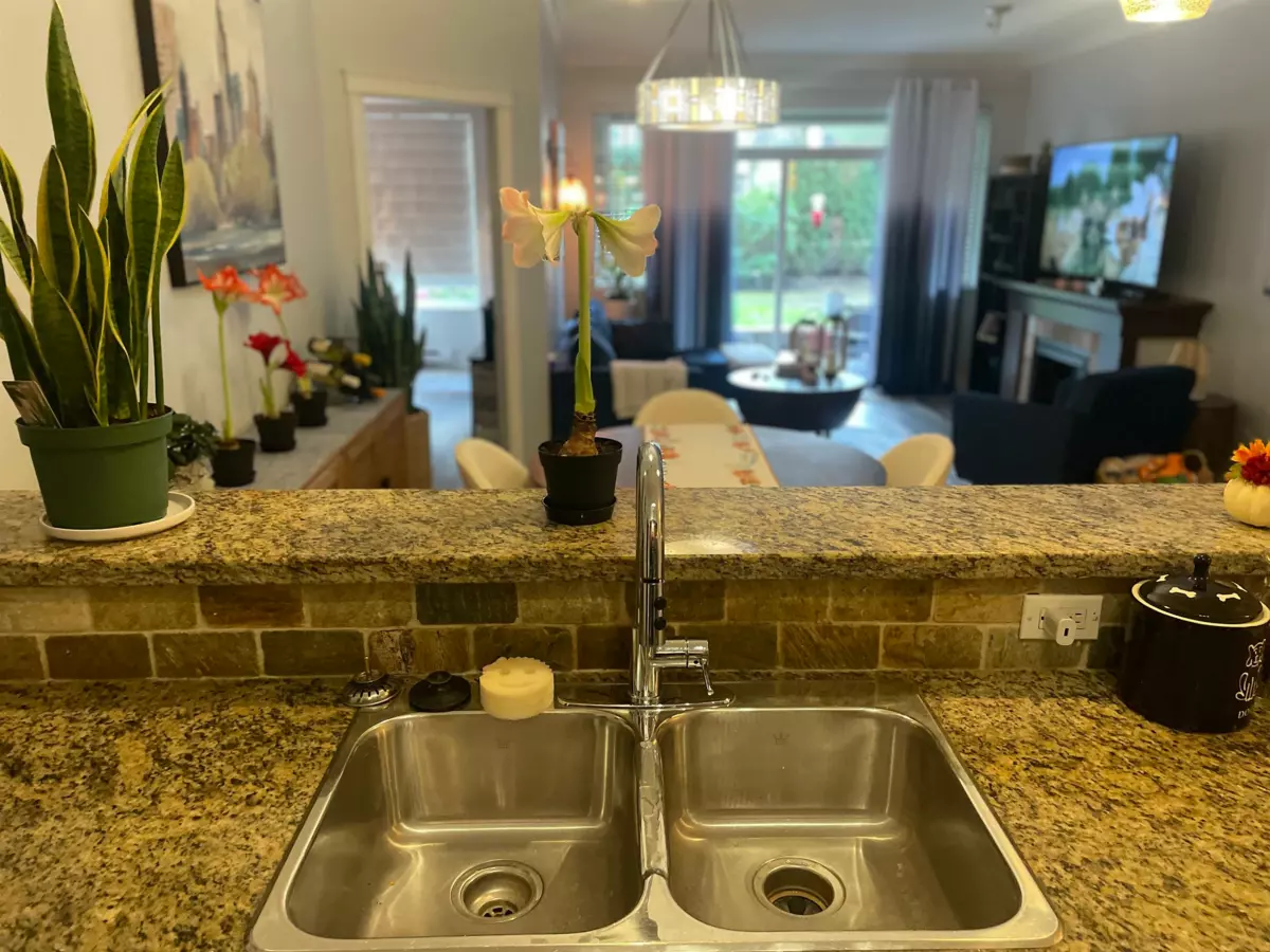 Living Room Photo of 107 12268 224th Street, Maple Ridge, BC