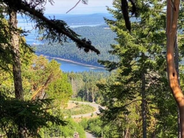 LOT 06 Cudmore Road, Salt Spring Island, BC, Mayne Island —  bed land for sale