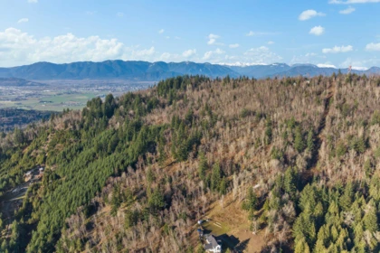 Pantry Photo of 49780 Lookout Road, Chilliwack, BC
