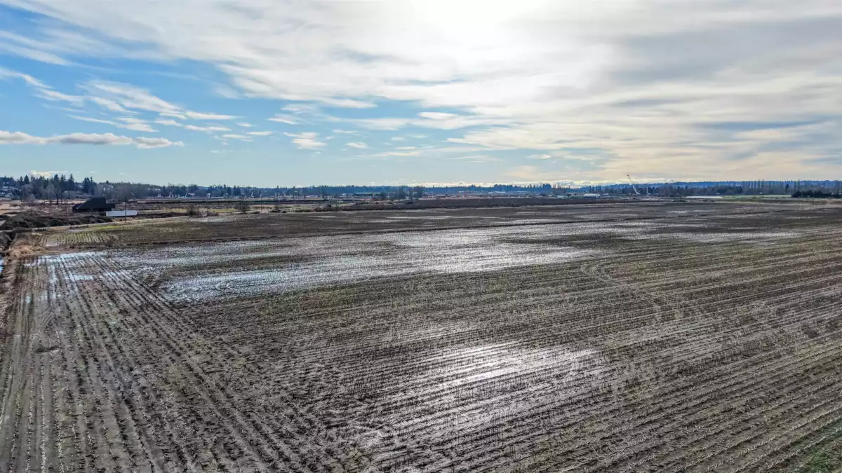 Pantry Photo of 17972 80 Avenue, Surrey, BC