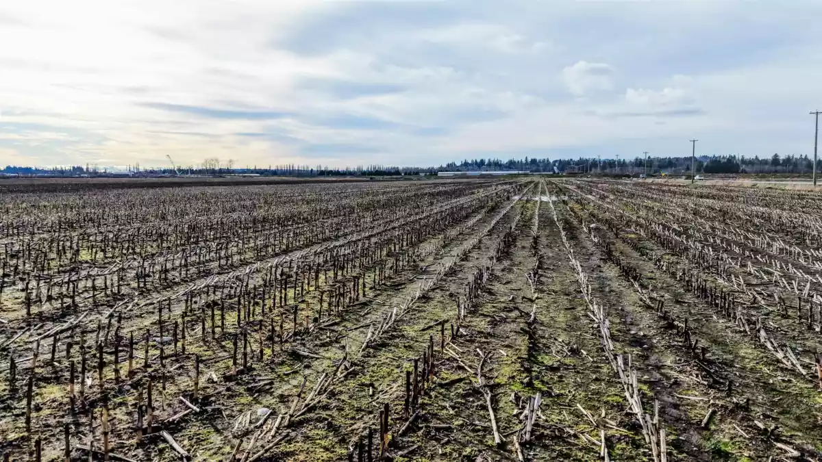 Primary Bedroom Photo of 17972 80 Avenue, Surrey, BC