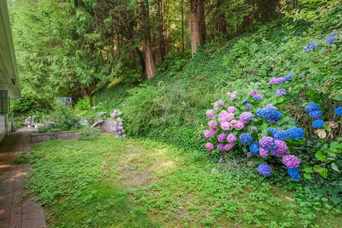 Neighborhood Park Photo Near 5560 Greenleaf Road, West Vancouver, BC