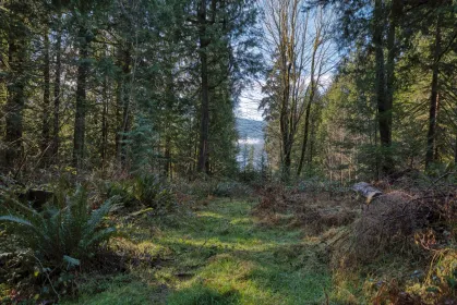 Neighborhood Park Photo Near 7103 Sechelt Inlet Road, Sechelt, BC