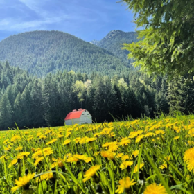 Garden / Landscaping Photo of LMV 7 Old Hope Princeton Highway, Sunshine Valley, BC