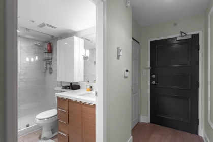 Walk-In Closet Photo of 308 1008 Cambie Street, Vancouver, BC