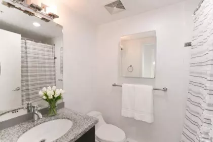 Powder Room Photo of 1809 14 Begbie Street, New Westminster, BC