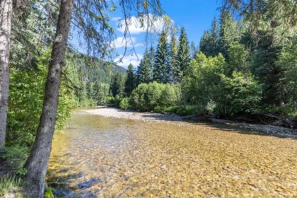Swimming Pool Photo of 9200 Rendell Creek Road, No City Value, BC