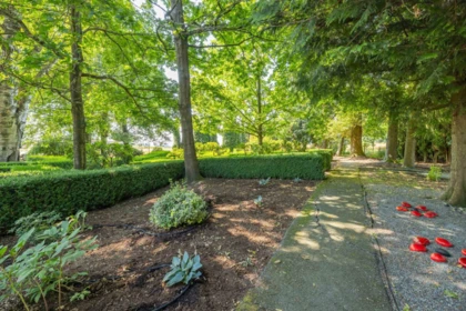 Neighborhood Park Photo Near 134 27111 Avenue, Langley, BC