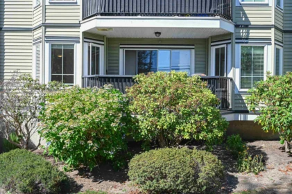 103 20881 56 Avenue, Langley, BC, Langley — Apartment/Condo for sale