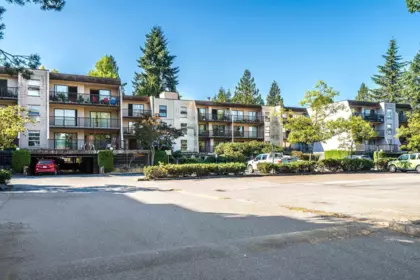 307 15268 100 Avenue, Surrey, BC, Surrey — Apartment/Condo for sale