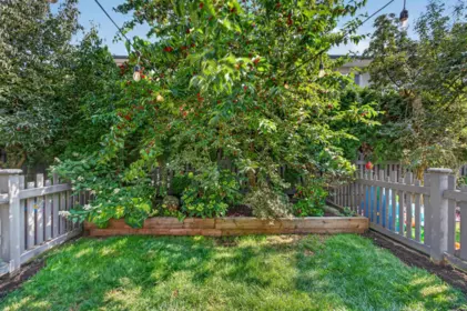 Front Yard Photo of 154 7938 209 Street, Langley, BC