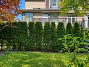 Family Room Photo of 10 15977 26 Avenue, Surrey, BC