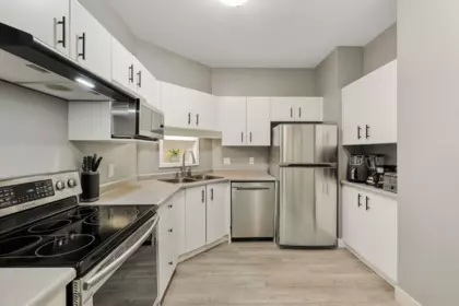 Kitchen Photo of 107 20239 Michaud Crescent, Langley, BC