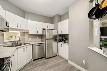Pantry Photo of 107 20239 Michaud Crescent, Langley, BC