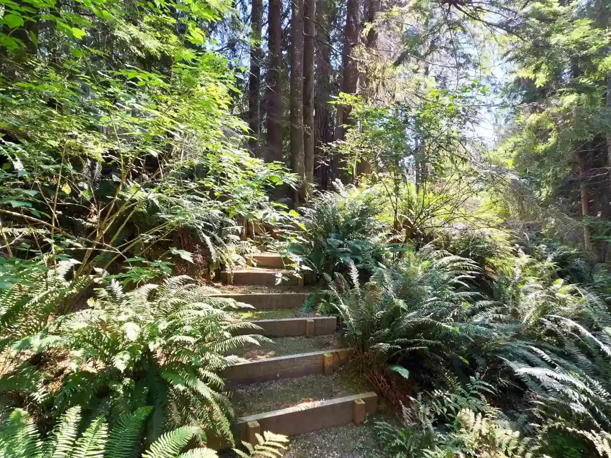 Living Room Photo of 793 Andy's Bay Road, Gambier Island, BC