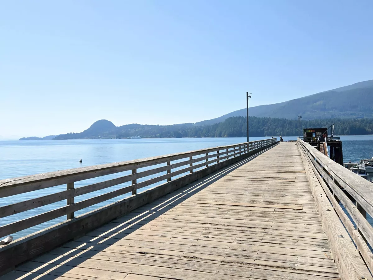 Swimming Pool Photo of 793 Andy's Bay Road, Gambier Island, BC