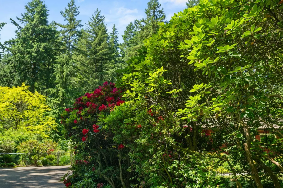 Aerial View of 5281 236 Street, Langley, BC