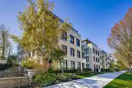 104 5007 Ash Street, Vancouver, BC