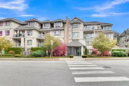 208 8142 120a Street, Surrey, BC, Queen Mary Park Surrey — 1 bed apartment/condo for sale
