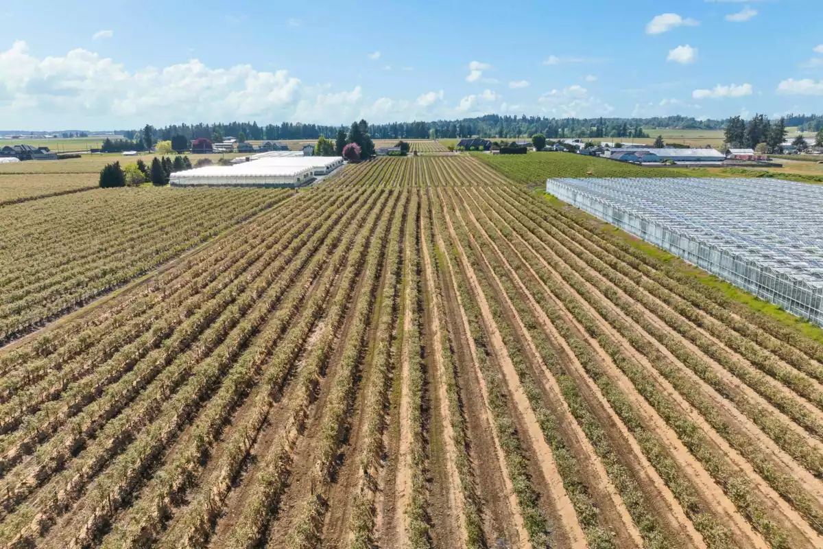 Neighborhood Park Photo Near 171 Defehr Road, Abbotsford, BC