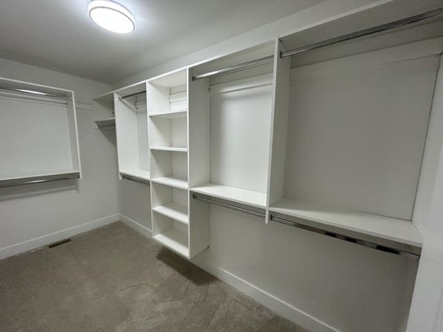 Basement Recreation Room Photo of 11061 241a Street, Maple Ridge, BC