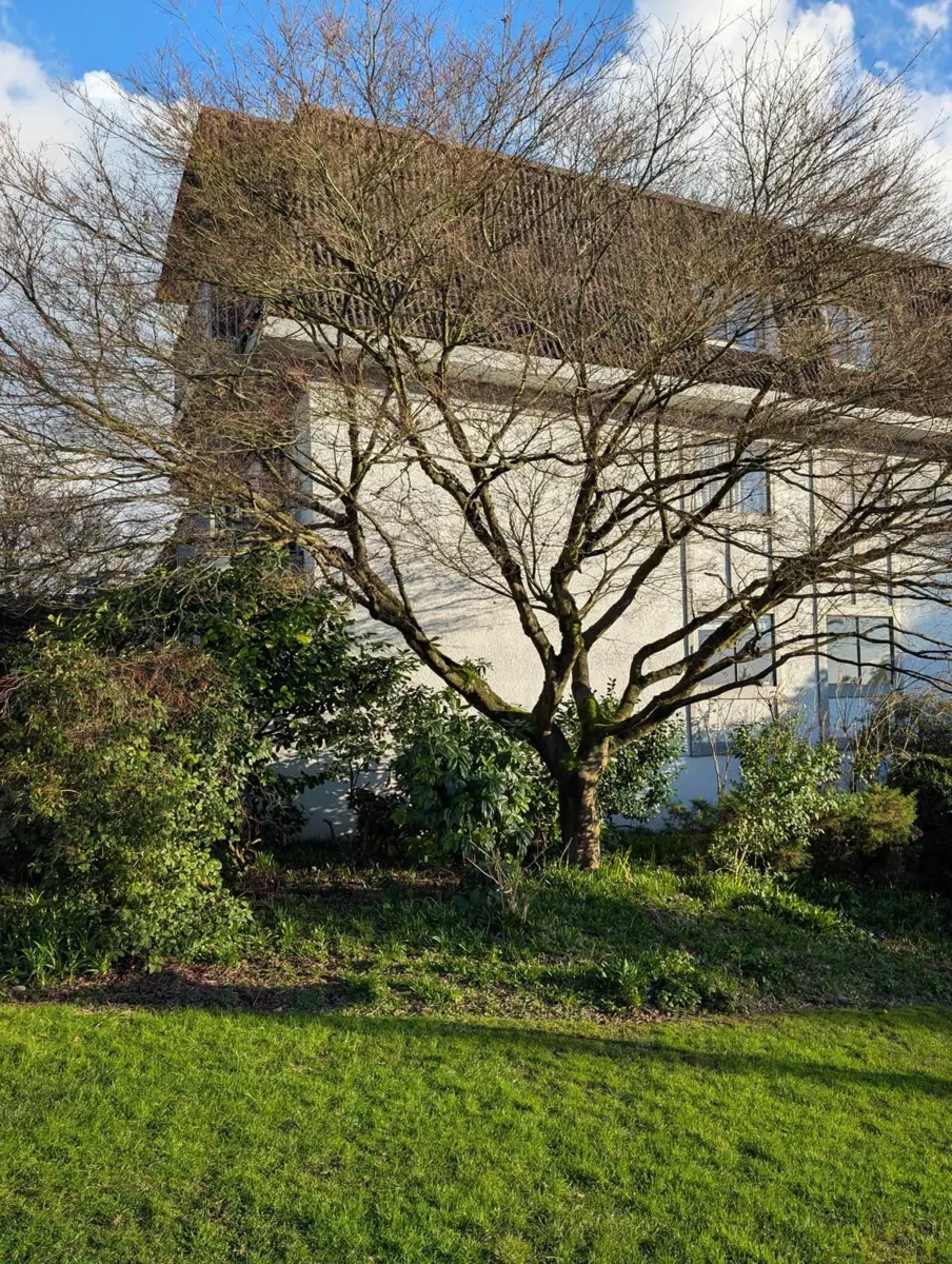 Exterior Rear Photo of 105 275 W 2nd Street, North Vancouver, BC