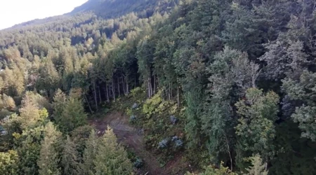 41768 Bowman Road, Yarrow, BC, Yarrow — Land for sale